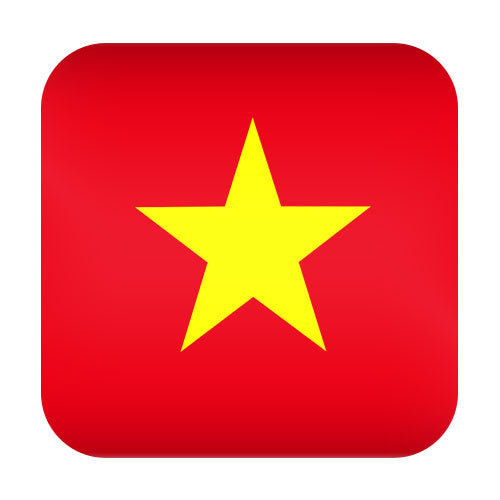uebersetzung_vietnamenisch
